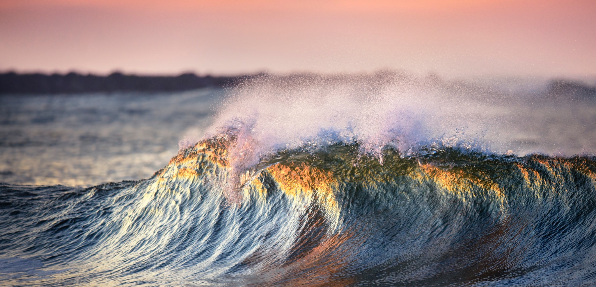 Image of Hilton Honors Elite Gold Status