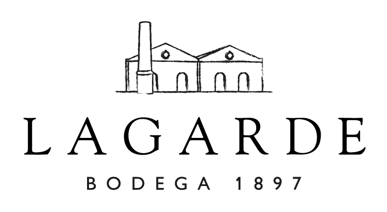 Pareja observando el mar sobre una hamaca