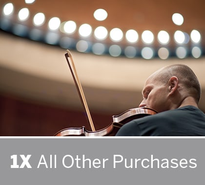 Man playing the violin