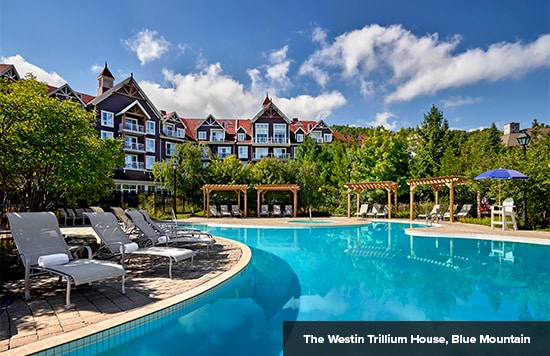 What Credit Card is Best for You in 2020?