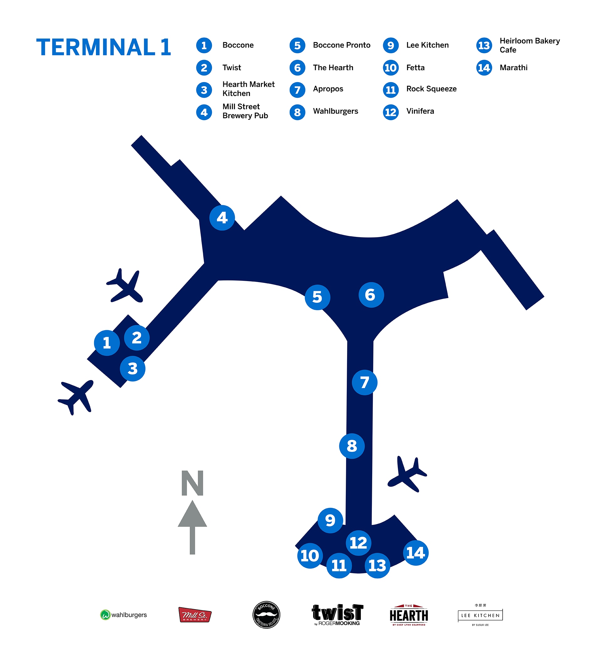 Pearson T1 Map 