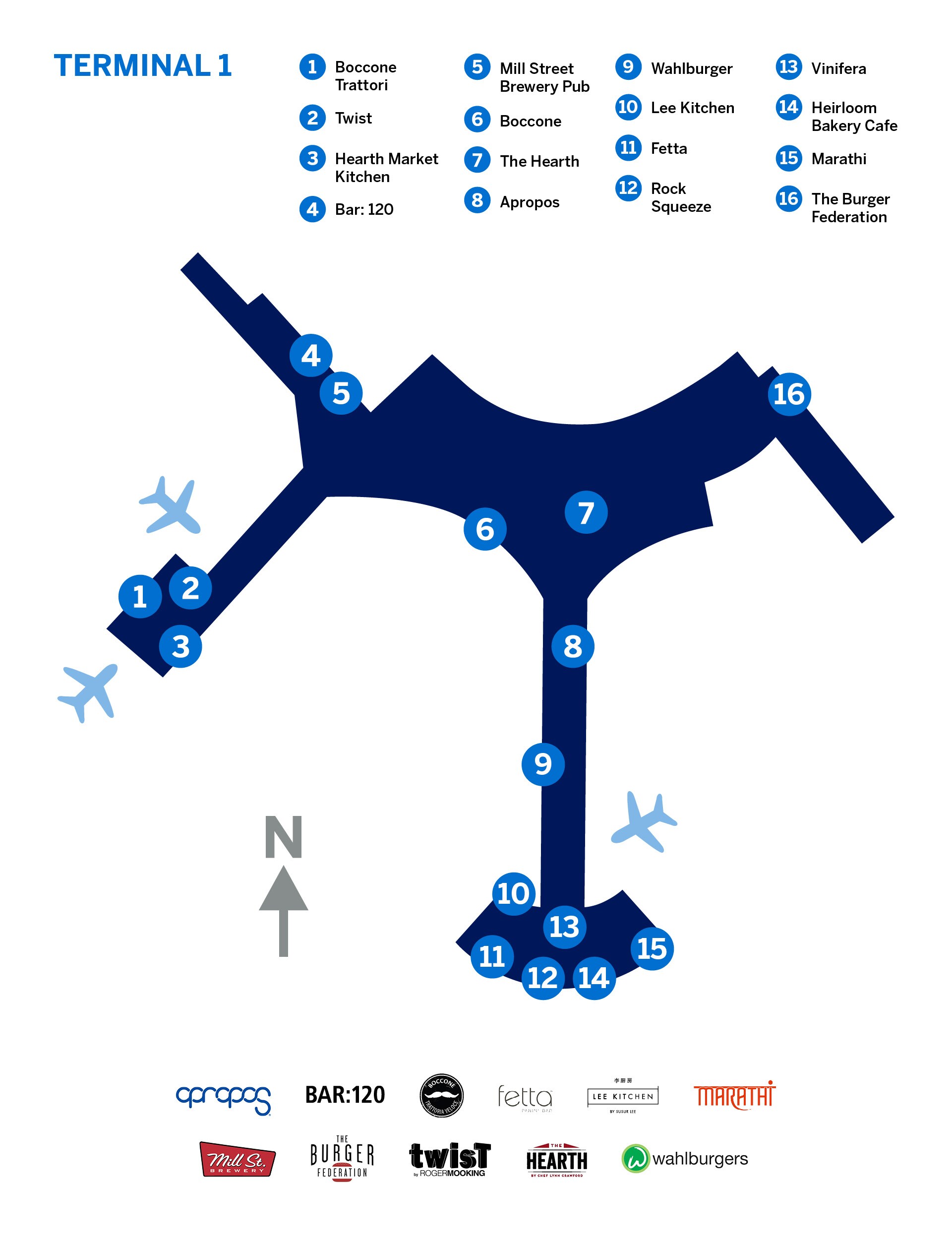 Pearson T1 Map 