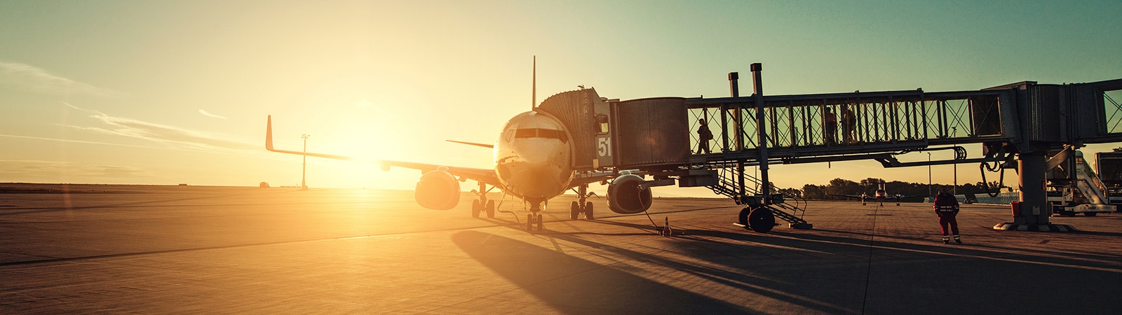 Programme de transporteurs aériens internationaux