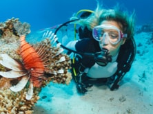 Person scuba diving