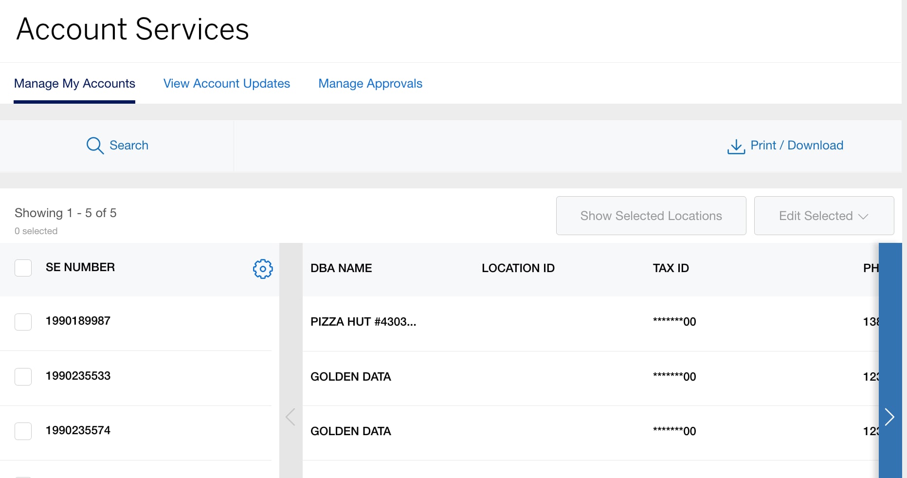 Screenshot of the View/Update tab under Account Services