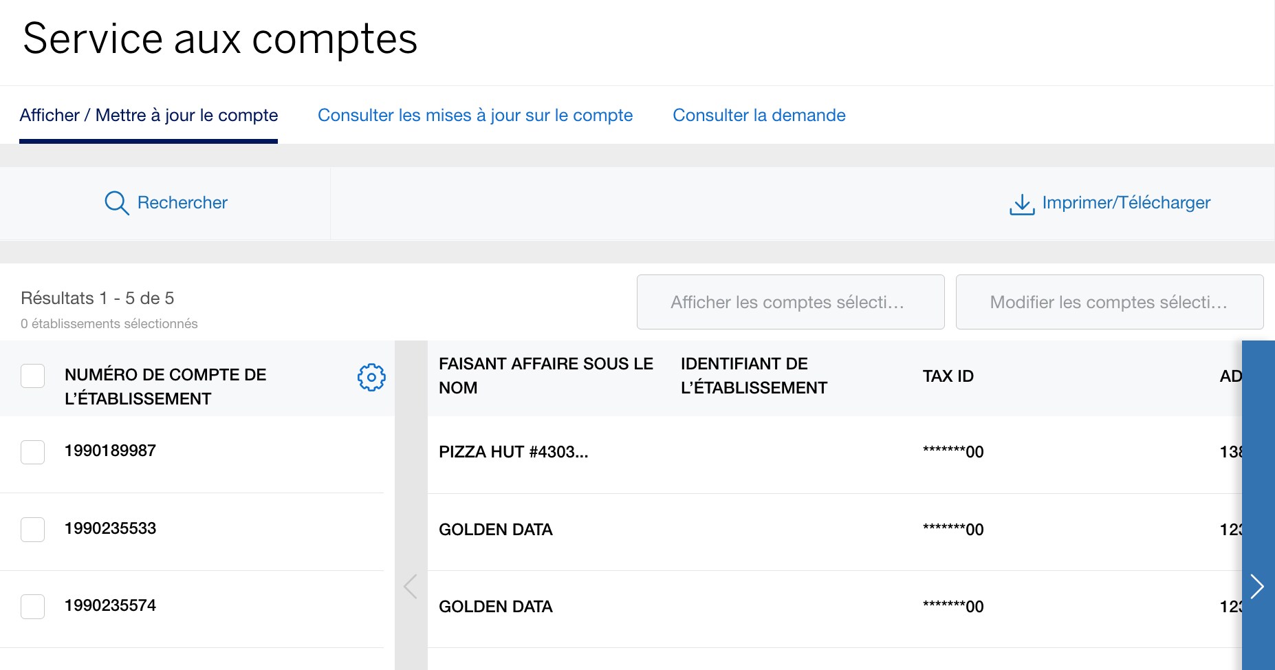 Screenshot of the View/Update tab under Account Services