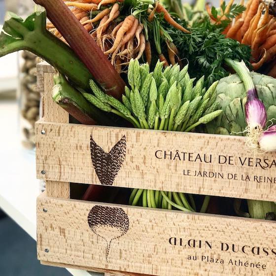 Alain Ducasse Instagram