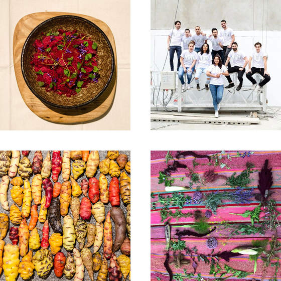 Virgilio Martínez Instagram