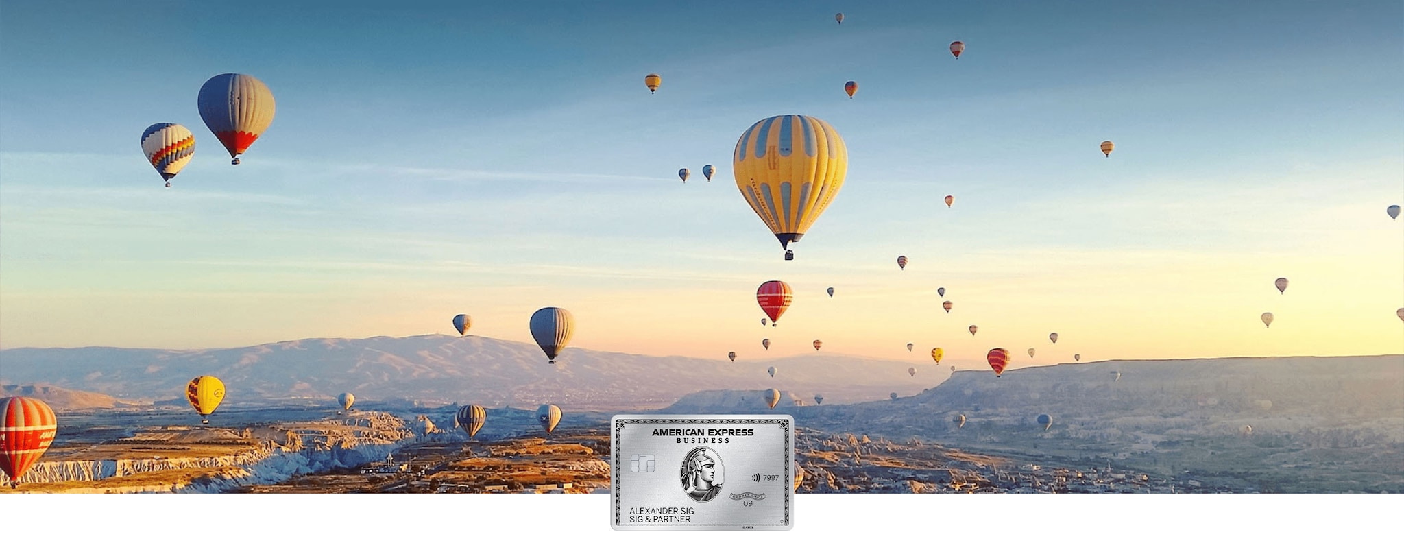 Business Platinum Card