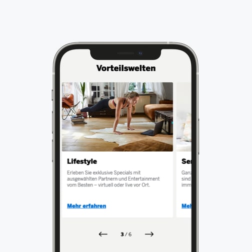 Abbildung der Vorteilswelten des Information Centers