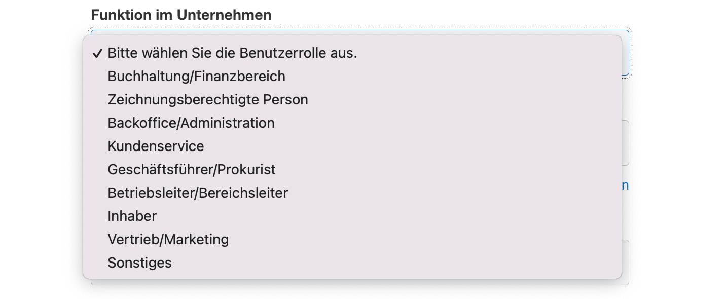 Screenshot of User Role options