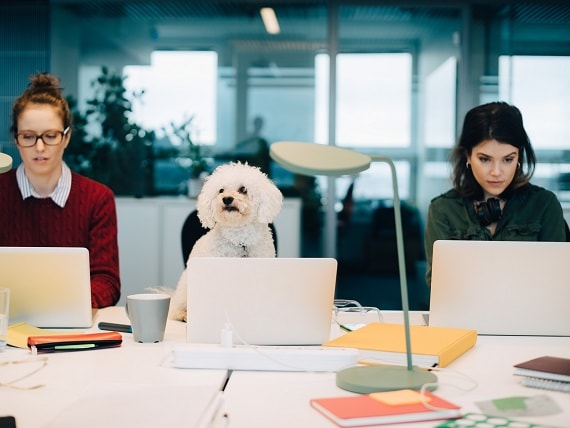 how to find the right candidate