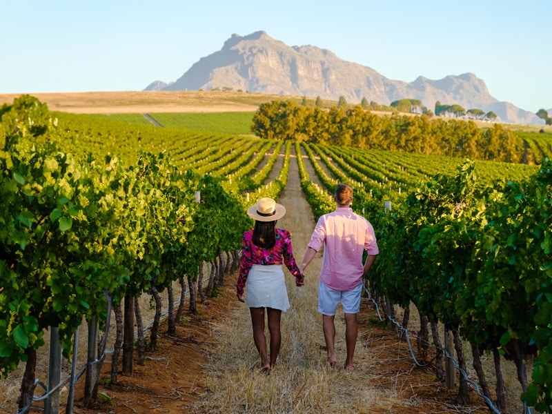 Complimentaryinsurance