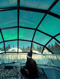 Girl staring at window