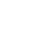1X