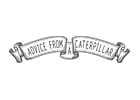 Advice from a Caterpillar Logo
