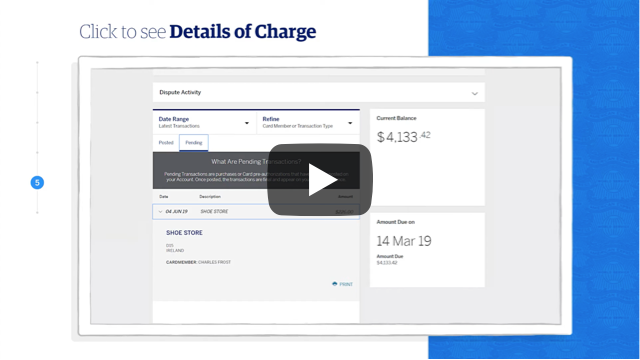 Learn how to view transaction details