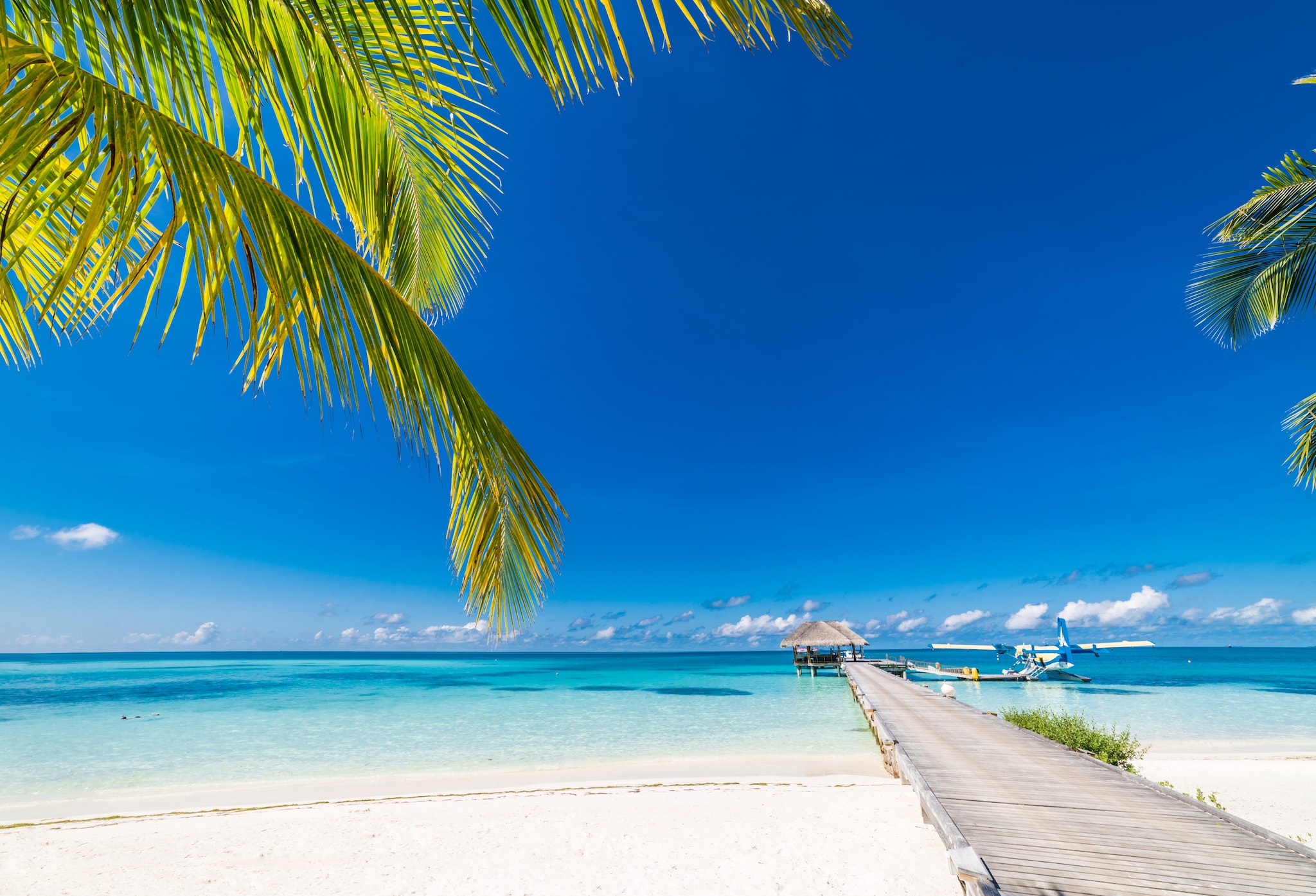 card assistance abroad