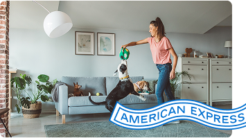 Person plays with a dog