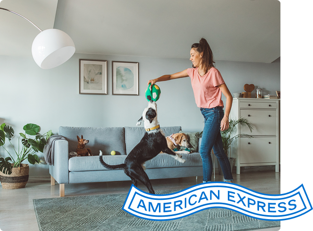 Person plays with a dog