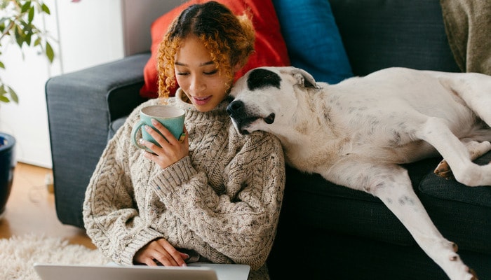 No Annual Fee Credit Cards