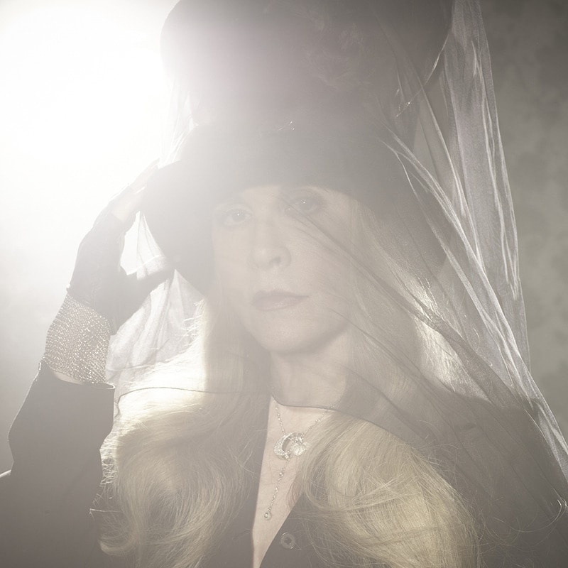 Portrait of Stevie Nicks