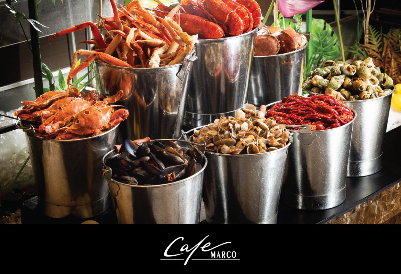 馬哥孛羅香港酒店 - 馬哥孛羅咖啡廳