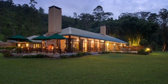 Resplendant Ceylon Tea Trails
