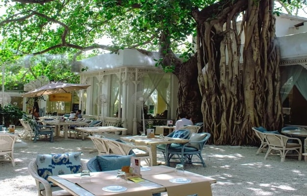 Olive Bar & Kitchen