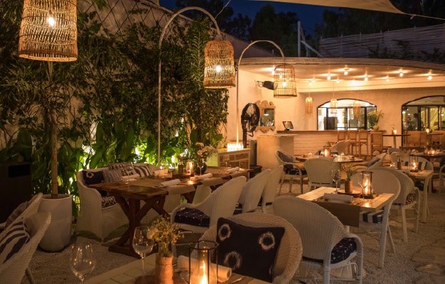 Olive Cafe & Bar Image