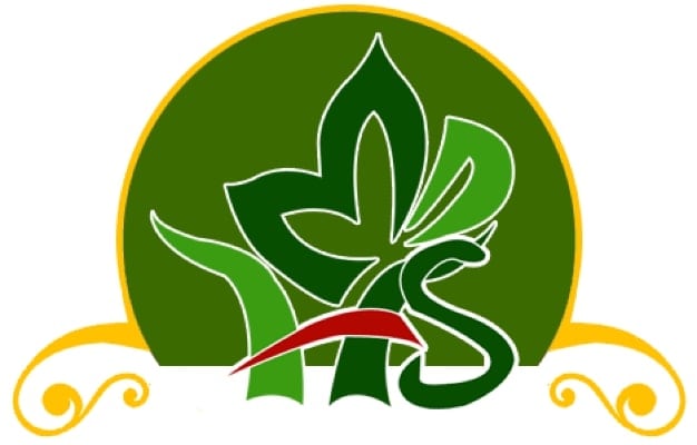 Handicraft Store Logo
