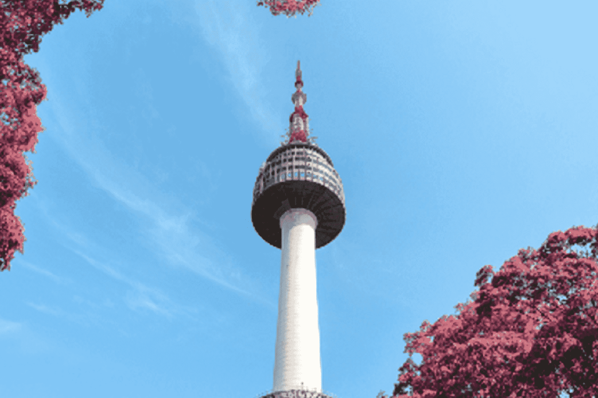 Card Benefits & Rewards American Express Malaysia