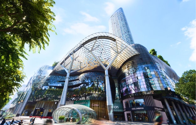 ION Orchard