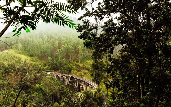 ดื่มด่ำกับความสงบที่ ศรีลังกา