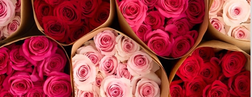 1800Flowers.com - Gourmet Food, Flowers & Gifts