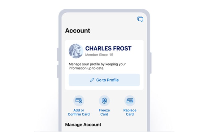 Amex® App Account screen
