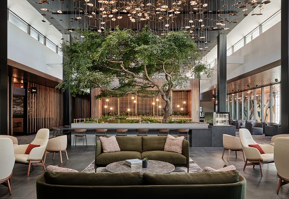 Modern hotel lobby with central tree and stylish seating