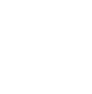 One Icon