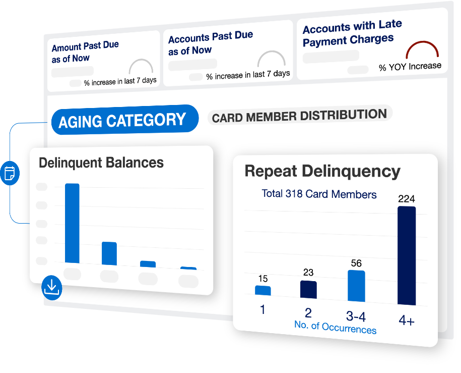 Illustrative representation of the Delinquency dashboard