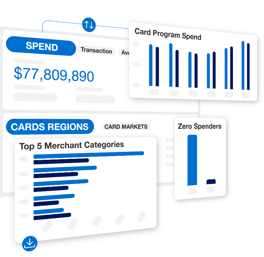 Illustrative representation of the Spend and Cards-in-Force dashboard
