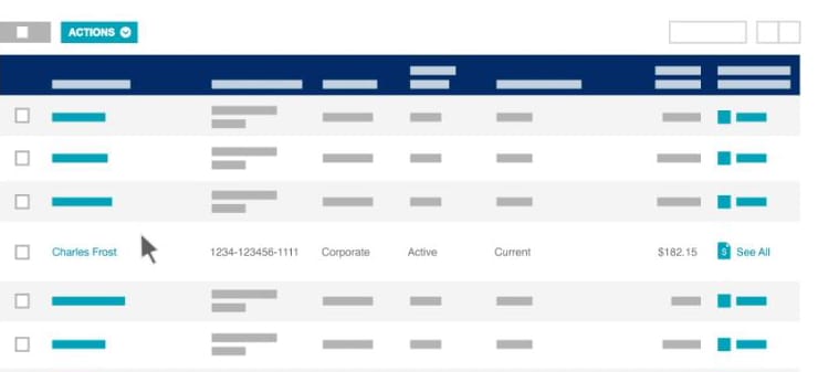 click on a cardmember 