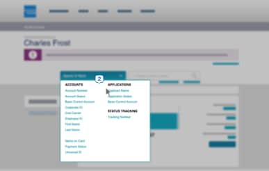 search for card member accounts