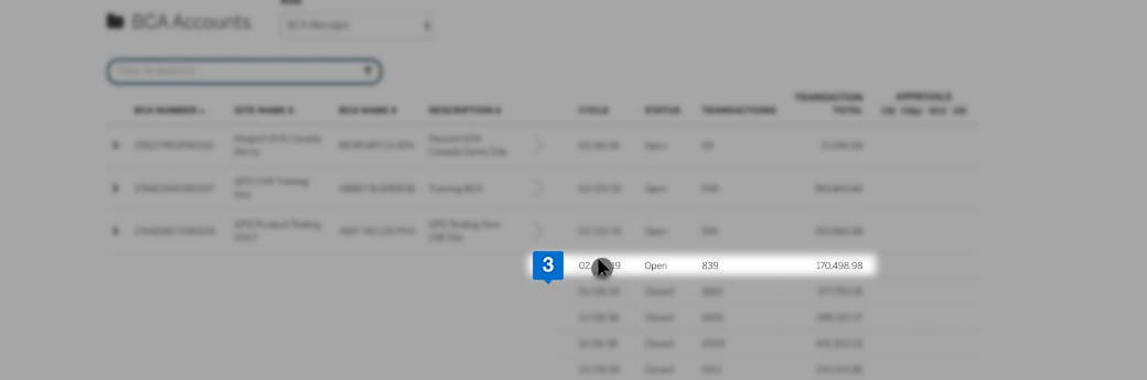 BTA Transaction Summary view.