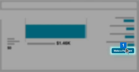 select make a payment