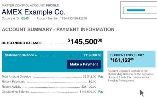account summary section