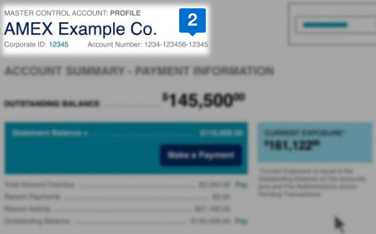 account summary section