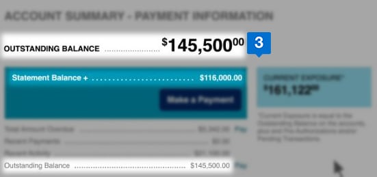 pay statement balance
