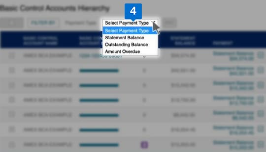 filter option to narrow down search