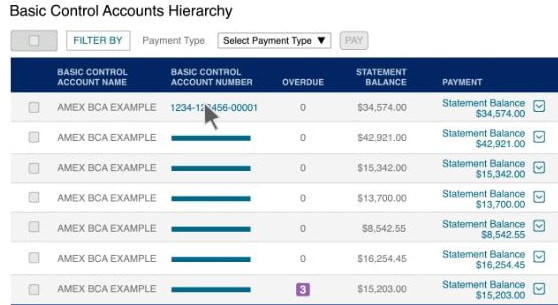 pay card member account level
