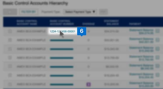 associated basic control account number